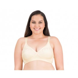 Brasier Básico color Beige marca Marisol para Mujer-TodoenunLugar-sku: 334901