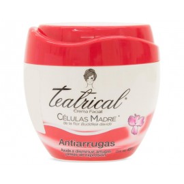 Crema Facial Teatrical-TodoenunLugar-sku: 704241