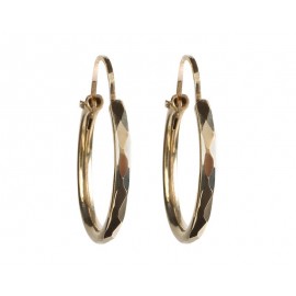 Aretes de Oro Frassinoro de 10 Quilates-TodoenunLugar-sku: 861286